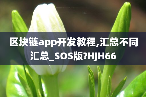 区块链app开发教程,汇总不同汇总_SOS版?HJH66