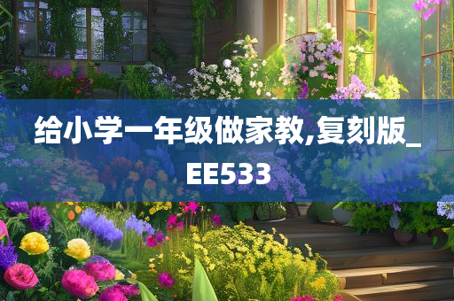 给小学一年级做家教,复刻版_EE533