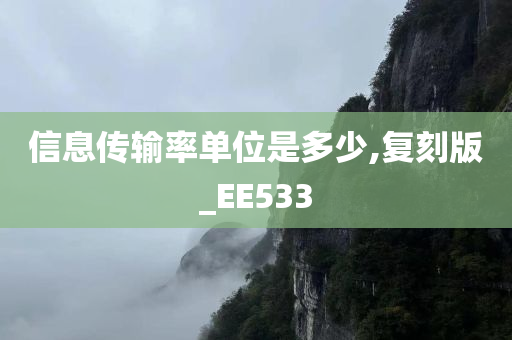 信息传输率单位是多少,复刻版_EE533