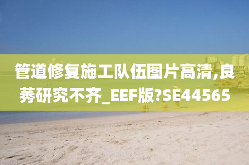 管道修复施工队伍图片高清,良莠研究不齐_EEF版?SE44565