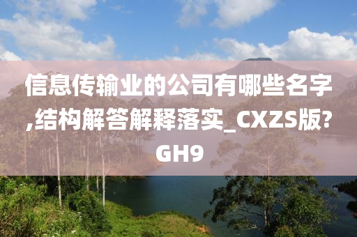 信息传输业的公司有哪些名字,结构解答解释落实_CXZS版?GH9