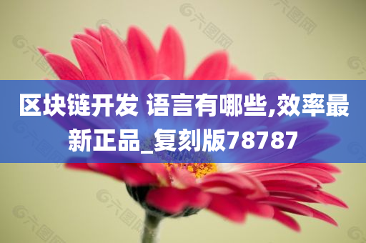 区块链开发 语言有哪些,效率最新正品_复刻版78787