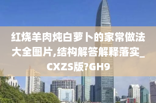 红烧羊肉炖白萝卜的家常做法大全图片,结构解答解释落实_CXZS版?GH9