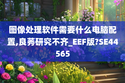 图像处理软件需要什么电脑配置,良莠研究不齐_EEF版?SE44565