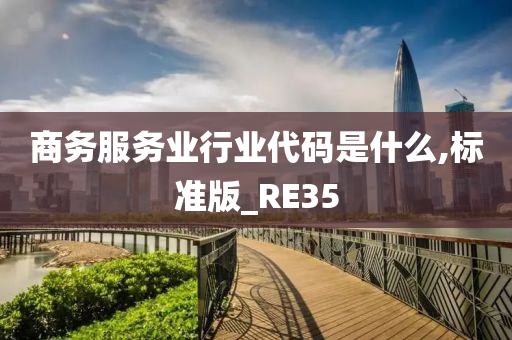 商务服务业行业代码是什么,标准版_RE35