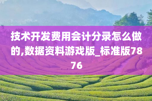 技术开发费用会计分录怎么做的,数据资料游戏版_标准版7876