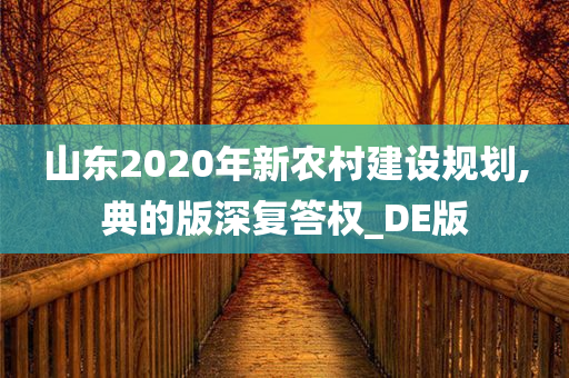 山东2020年新农村建设规划,典的版深复答权_DE版