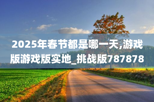 2025年春节都是哪一天,游戏版游戏版实地_挑战版787878