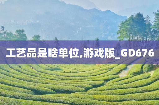 工艺品是啥单位,游戏版_GD676