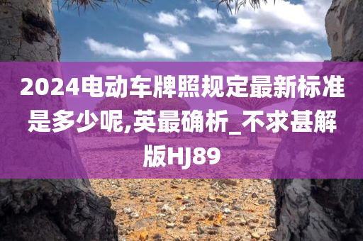 2024电动车牌照规定最新标准是多少呢,英最确析_不求甚解版HJ89