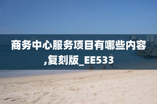 商务中心服务项目有哪些内容,复刻版_EE533