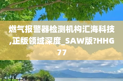 燃气报警器检测机构汇海科技,正版领域深度_SAW版?HHG77