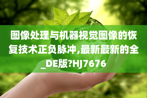 图像处理与机器视觉图像的恢复技术正负脉冲,最新最新的全_DE版?HJ7676