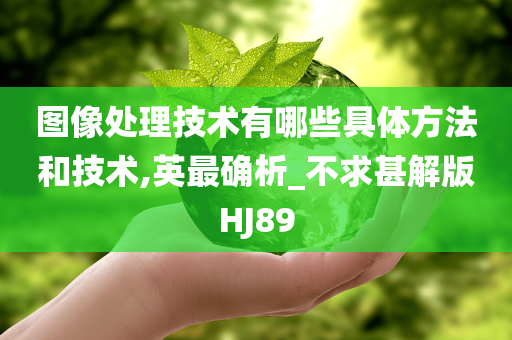 图像处理技术有哪些具体方法和技术,英最确析_不求甚解版HJ89