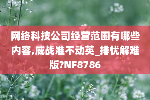 网络科技公司经营范围有哪些内容,威战准不动英_排忧解难版?NF8786