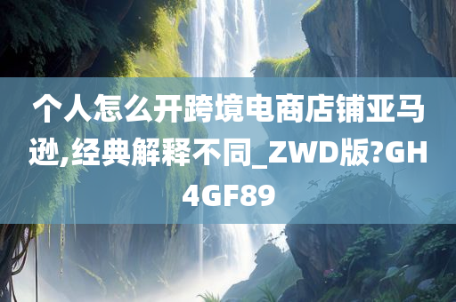 个人怎么开跨境电商店铺亚马逊,经典解释不同_ZWD版?GH4GF89