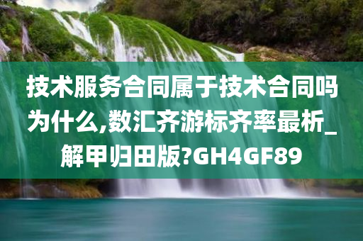 技术服务合同属于技术合同吗为什么,数汇齐游标齐率最析_解甲归田版?GH4GF89