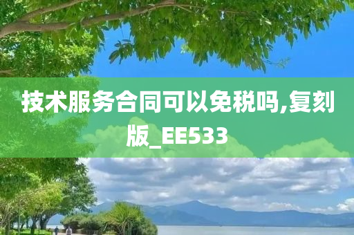 技术服务合同可以免税吗,复刻版_EE533