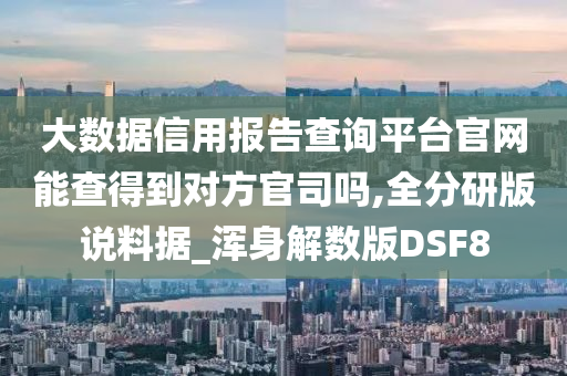 大数据信用报告查询平台官网能查得到对方官司吗,全分研版说料据_浑身解数版DSF8