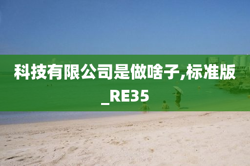 科技有限公司是做啥子,标准版_RE35