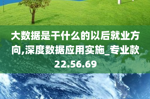 大数据是干什么的以后就业方向,深度数据应用实施_专业款22.56.69