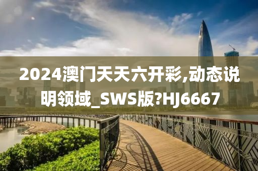 2024澳门天天六开彩,动态说明领域_SWS版?HJ6667