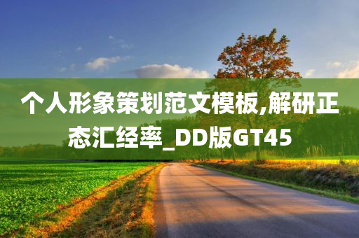 个人形象策划范文模板,解研正态汇经率_DD版GT45