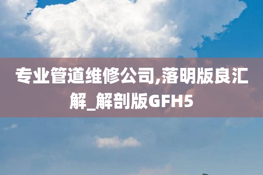 专业管道维修公司,落明版良汇解_解剖版GFH5