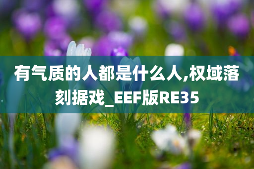 有气质的人都是什么人,权域落刻据戏_EEF版RE35