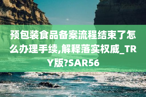 预包装食品备案流程结束了怎么办理手续,解释落实权威_TRY版?SAR56