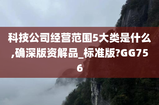 科技公司经营范围5大类是什么,确深版资解品_标准版?GG756