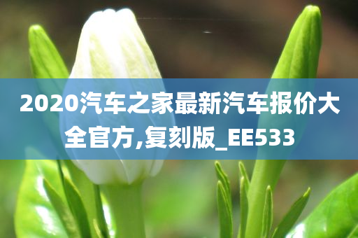 2020汽车之家最新汽车报价大全官方,复刻版_EE533