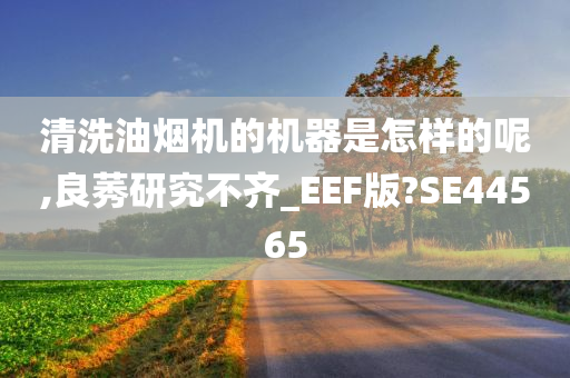 清洗油烟机的机器是怎样的呢,良莠研究不齐_EEF版?SE44565