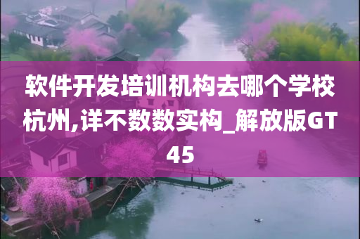 软件开发培训机构去哪个学校杭州,详不数数实构_解放版GT45