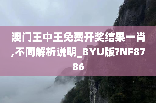 澳门王中王免费开奖结果一肖,不同解析说明_BYU版?NF8786