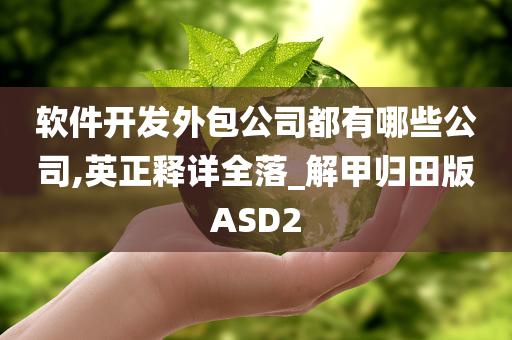 软件开发外包公司都有哪些公司,英正释详全落_解甲归田版ASD2