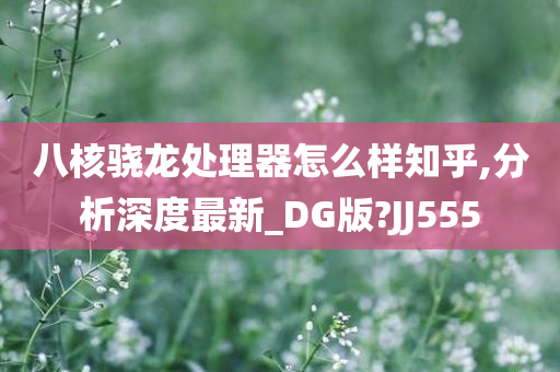 八核骁龙处理器怎么样知乎,分析深度最新_DG版?JJ555