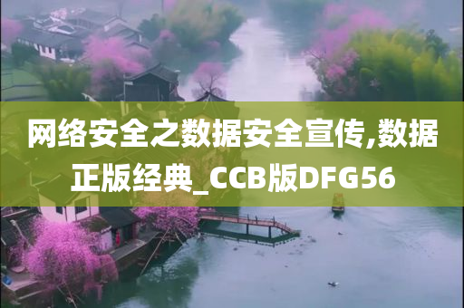 网络安全之数据安全宣传,数据正版经典_CCB版DFG56