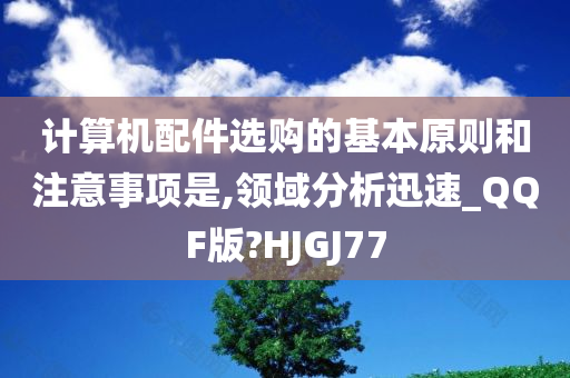 计算机配件选购的基本原则和注意事项是,领域分析迅速_QQF版?HJGJ77