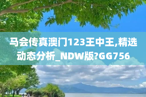 马会传真澳门123王中王,精选动态分析_NDW版?GG756