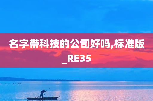 名字带科技的公司好吗,标准版_RE35