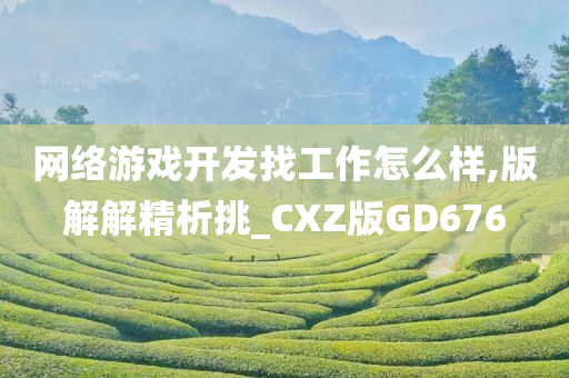 网络游戏开发找工作怎么样,版解解精析挑_CXZ版GD676