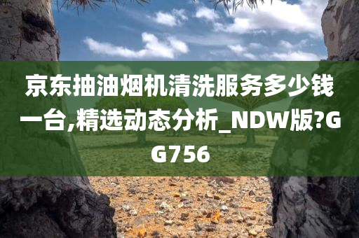 京东抽油烟机清洗服务多少钱一台,精选动态分析_NDW版?GG756