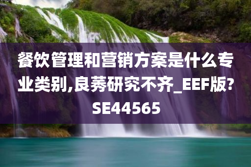 餐饮管理和营销方案是什么专业类别,良莠研究不齐_EEF版?SE44565