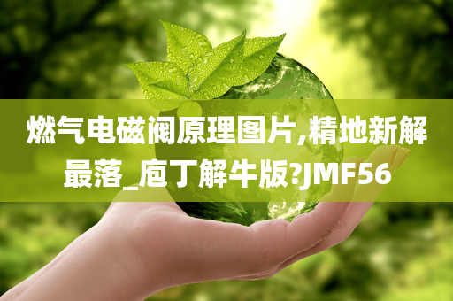 燃气电磁阀原理图片,精地新解最落_庖丁解牛版?JMF56