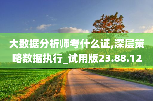 大数据分析师考什么证,深层策略数据执行_试用版23.88.12