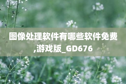 图像处理软件有哪些软件免费,游戏版_GD676