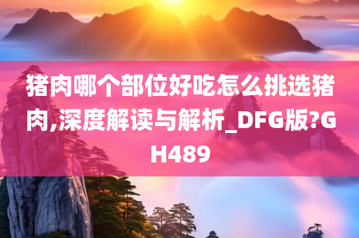 猪肉哪个部位好吃怎么挑选猪肉,深度解读与解析_DFG版?GH489