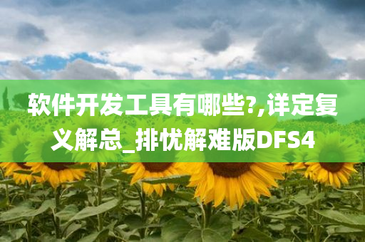 软件开发工具有哪些?,详定复义解总_排忧解难版DFS4