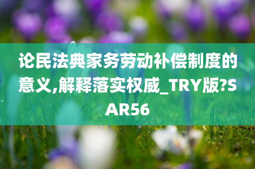 论民法典家务劳动补偿制度的意义,解释落实权威_TRY版?SAR56